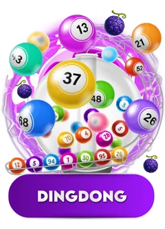 dingdong